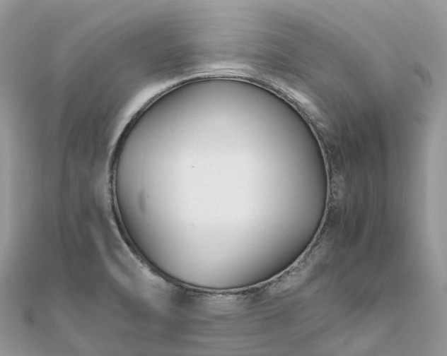X0000111851470200907301101