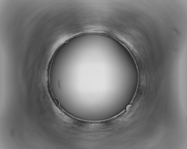 X0000111851471200907301101