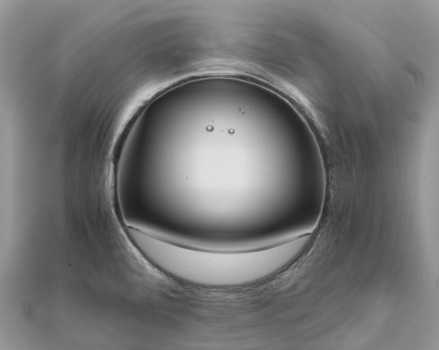 X0000111851472200907301101