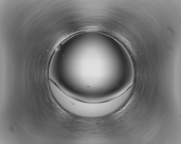 X0000111851473200907301101