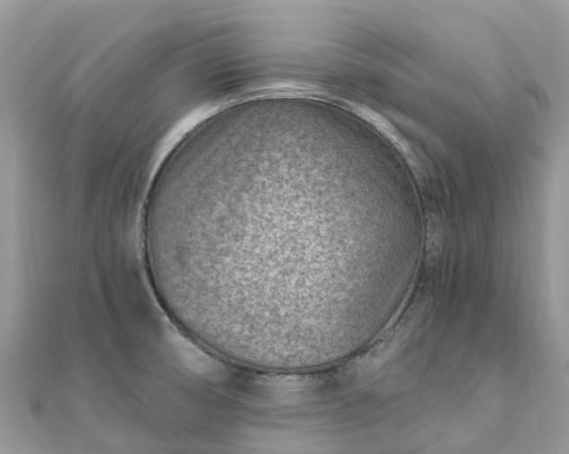 X0000111851474200907301101