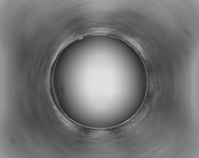 X0000111851475200907301101