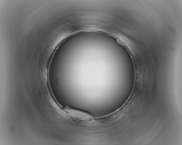 X0000111851476200907301101