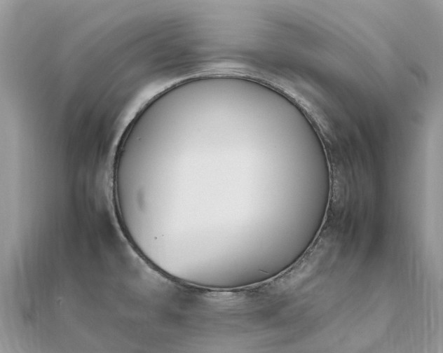 X0000111851478200907301101