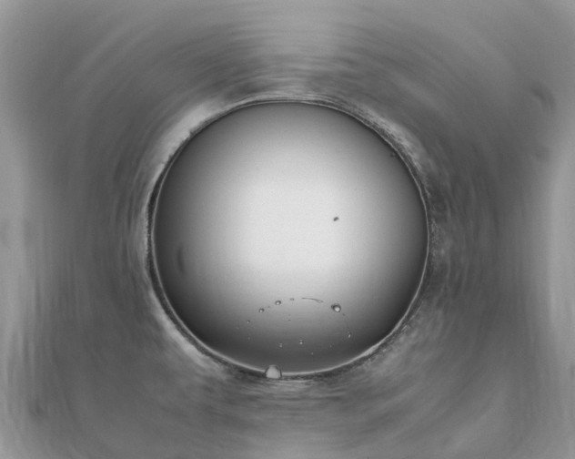 X0000111851479200907301101