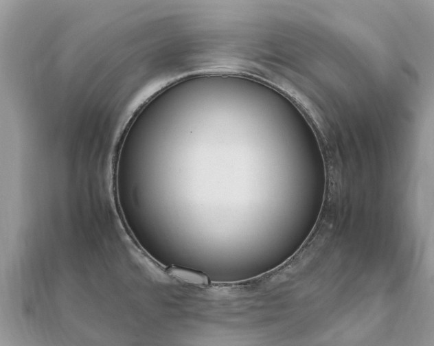 X0000111851480200907301100