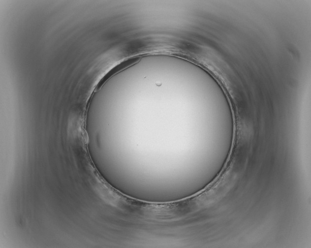 X0000111851481200907301100