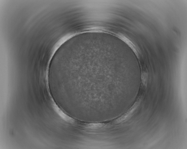 X0000111851482200907301100
