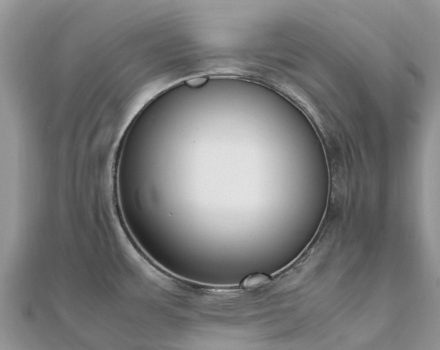 X0000111851483200907301100
