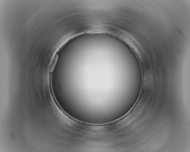 X0000111851484200907301100