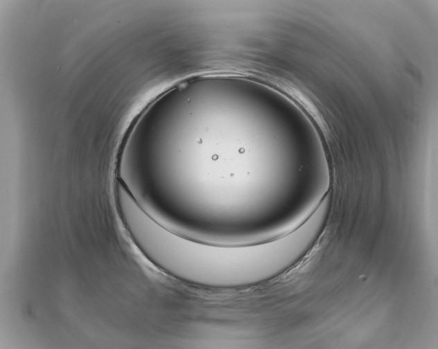X0000111851485200907301100