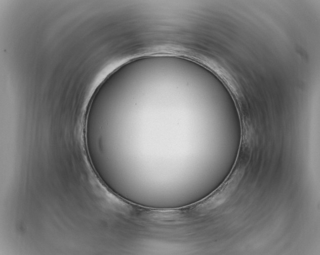 X0000111851486200907301100