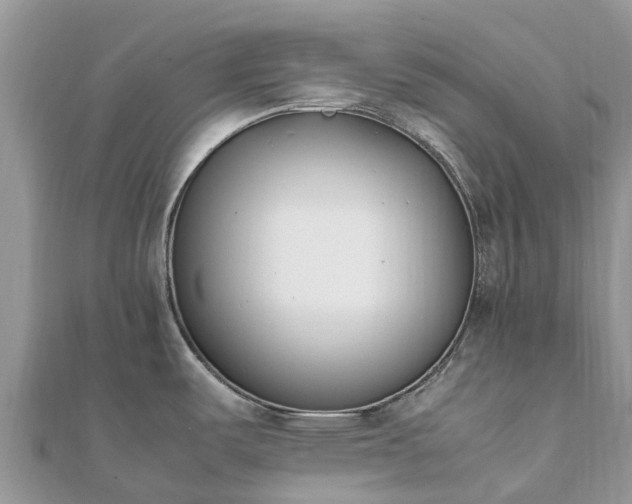 X0000111851487200907301100