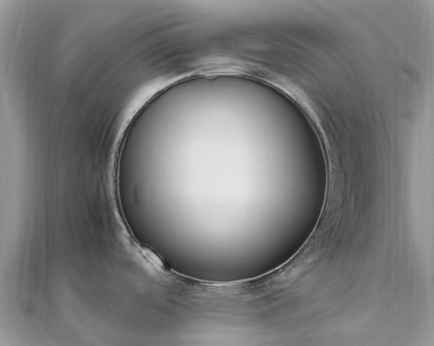 X0000111851488200907301100