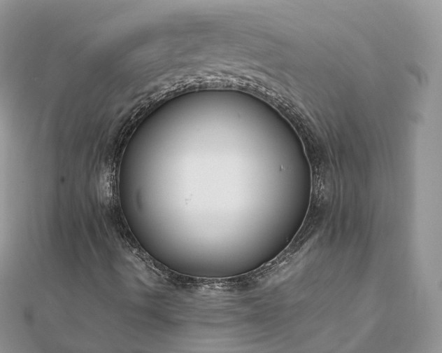X0000111851490200907301100