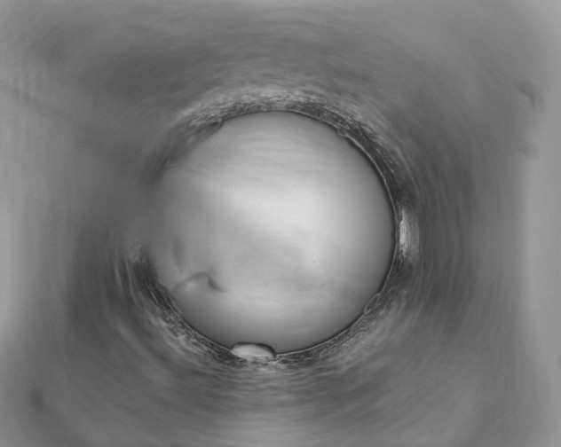 X0000111851492200907301100