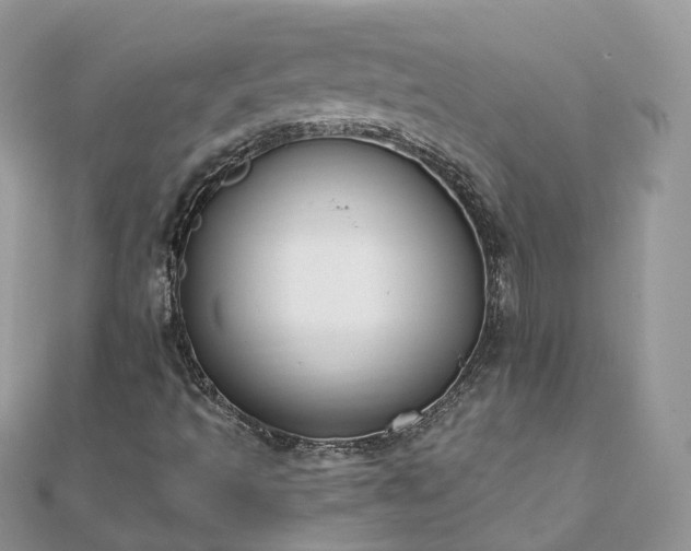 X0000111851493200907301100