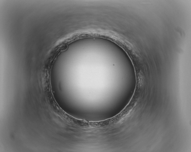 X0000111851494200907301100