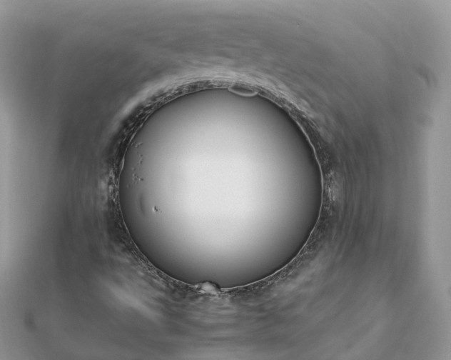 X0000111851495200907301100