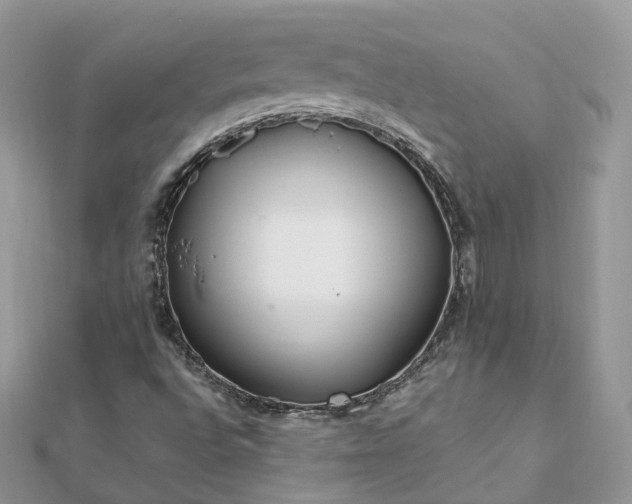 X0000111851496200907301100