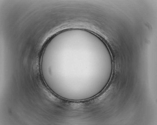 X0000111851498200907301100