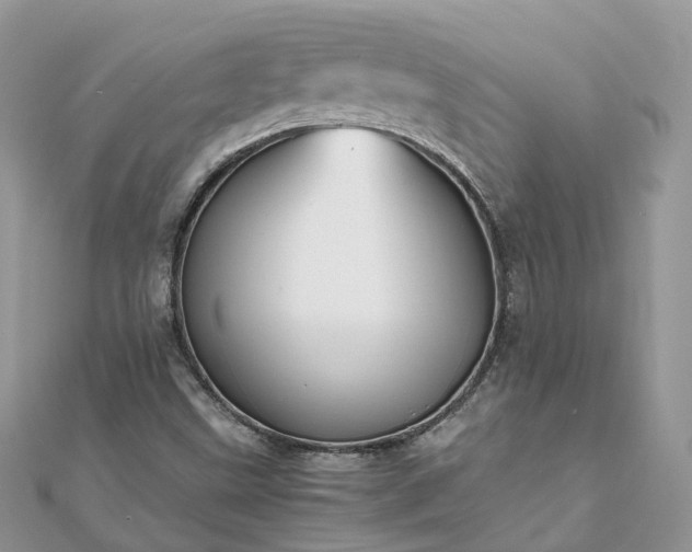 X0000111851499200907301100