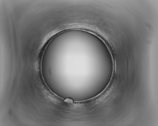 X0000111851501200907301100