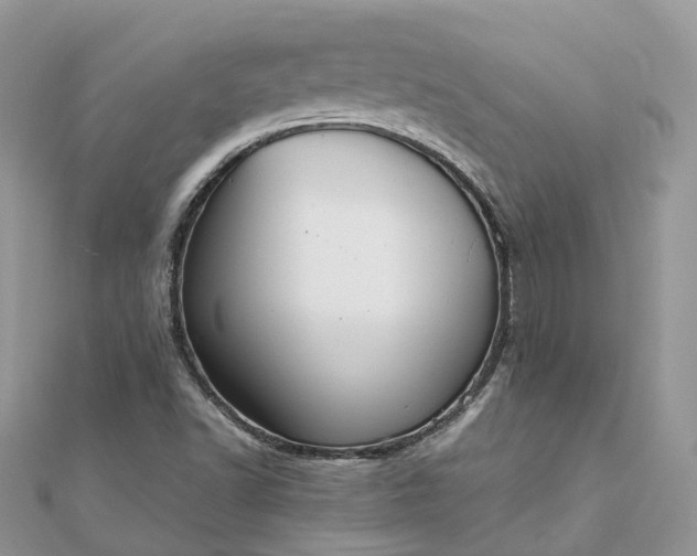 X0000111851502200907301100