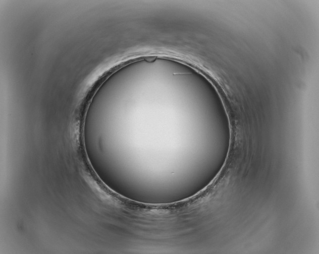 X0000111851503200907301100