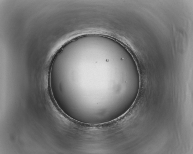 X0000111851504200907301100