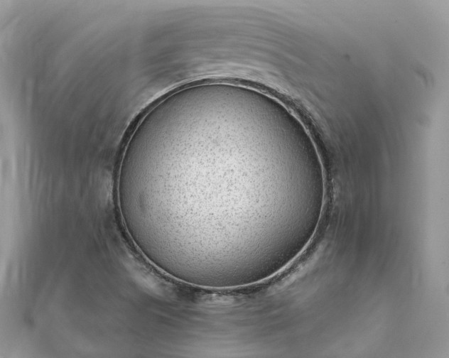 X0000111851505200907301100