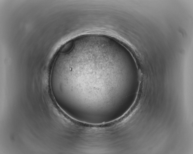 X0000111851506200907301100
