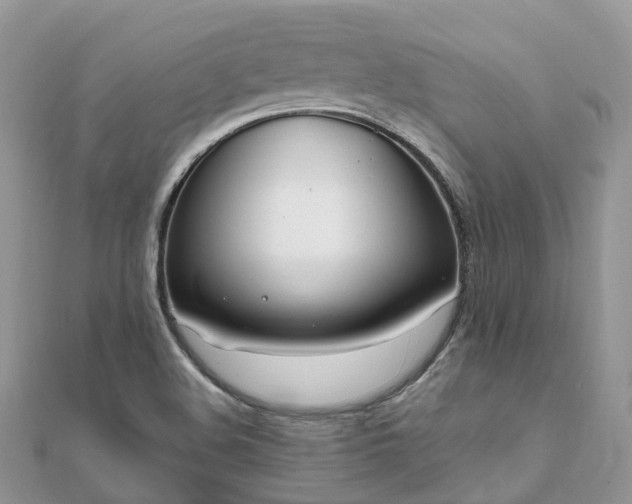 X0000111851508200907301100