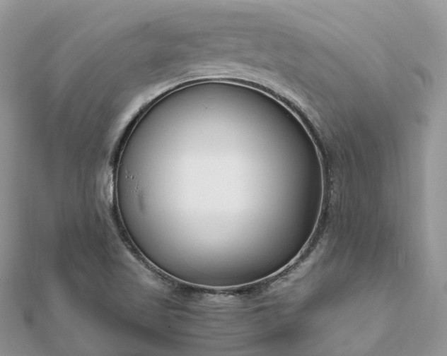 X0000111851509200907301100