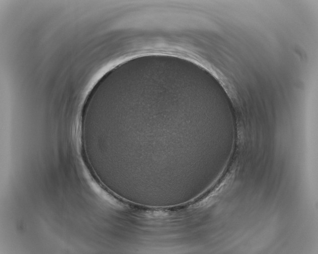 X0000111851515200907301100