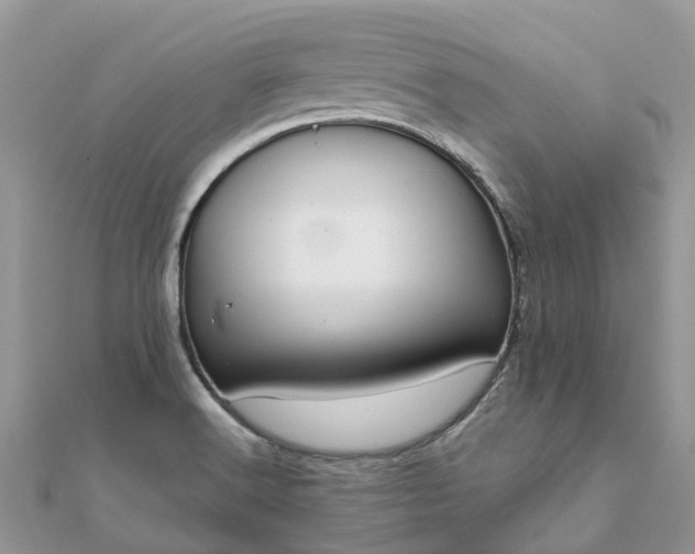 X0000111851516200907301100