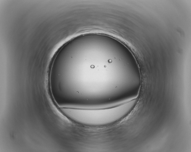 X0000111851518200907301100