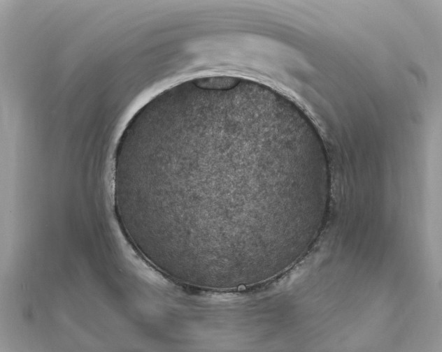 X0000111851522200907301100
