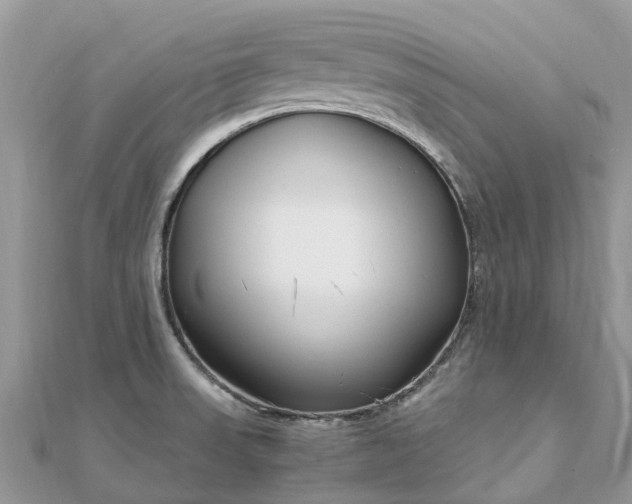 X0000111851523200907301100
