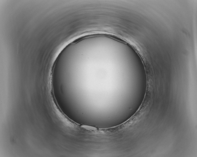X0000111851524200907301100