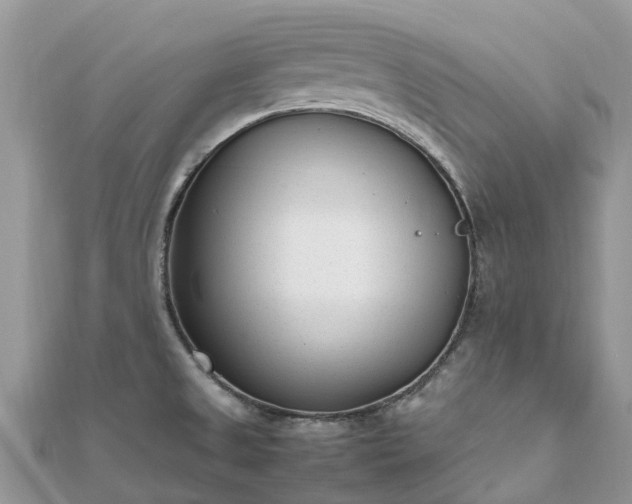 X0000111851525200907301100