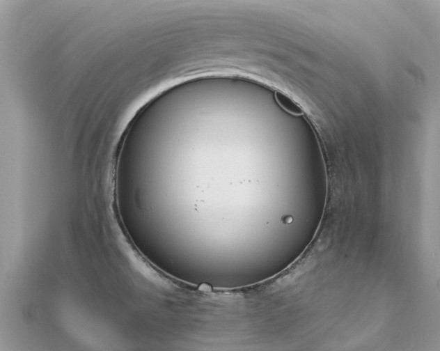 X0000111851526200907301100