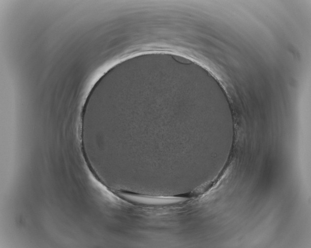 X0000111851527200907301100