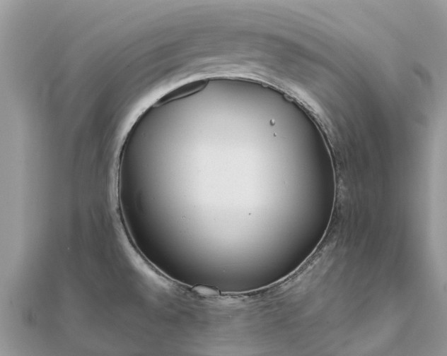 X0000111851528200907301100