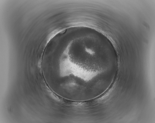 X0000111851529200907301100