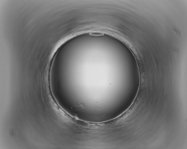 X0000111851530200907301100