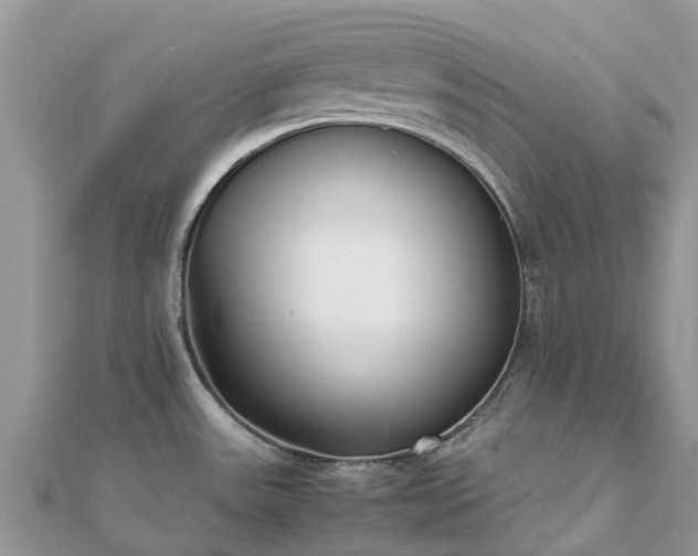 X0000111851531200907301100
