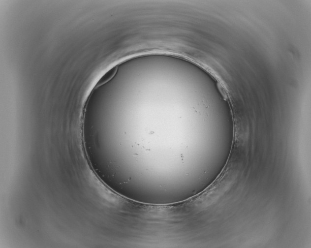 X0000111851532200907301100