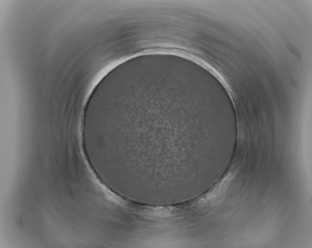 X0000111851533200907301100