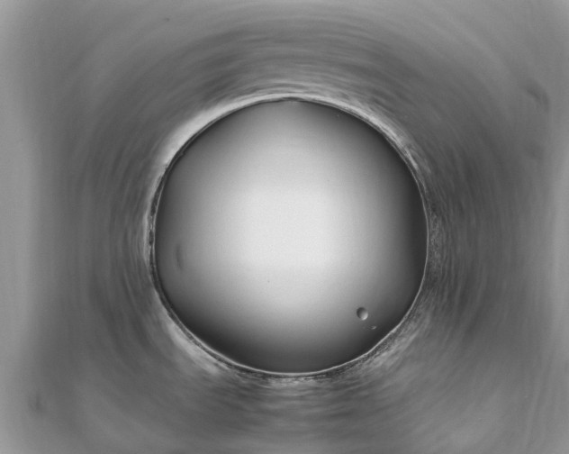 X0000111851535200907301100